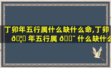 丁卯年五行属什么缺什么命,丁卯 🦈 年五行属 🐯 什么缺什么命格